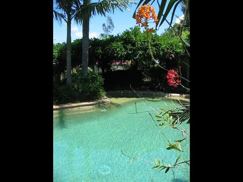 55 Viney Creek Road West, Tea Gardens NSW 2324