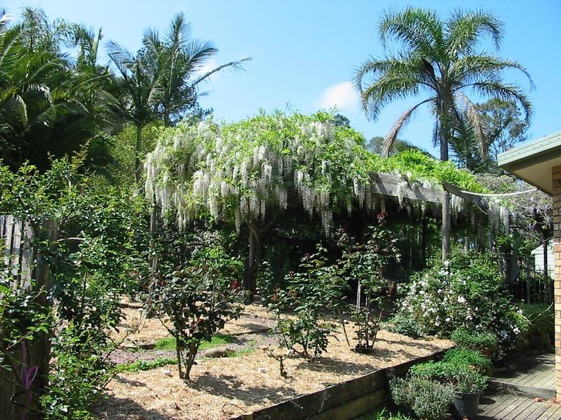 55 Viney Creek Road West, Tea Gardens NSW 2324