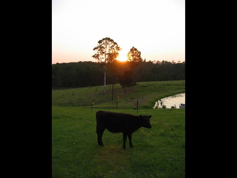 55 Viney Creek Road West, Tea Gardens NSW 2324