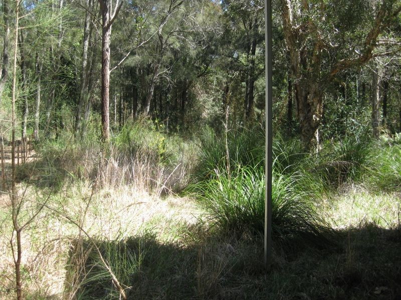 16 Cook Street, Pindimar NSW 2324