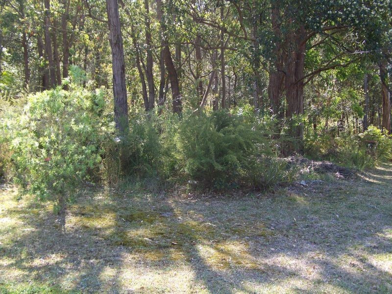 11 Curlew Crescent, Nerong NSW 2423