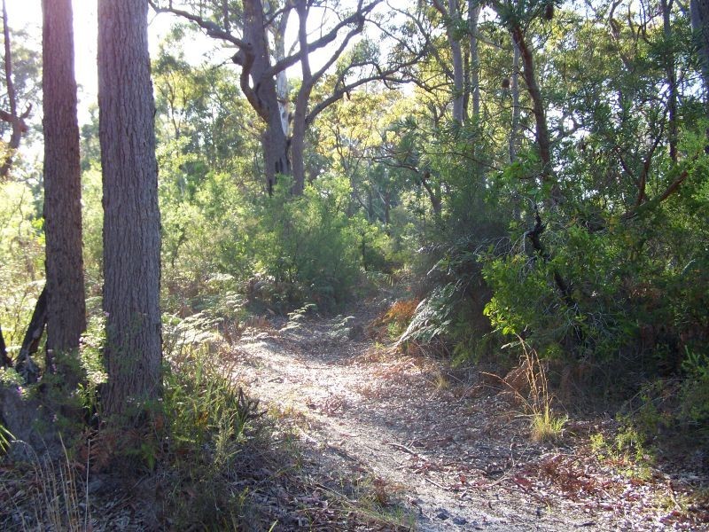 Lot 10 Nardoo Street, Pindimar NSW 2324