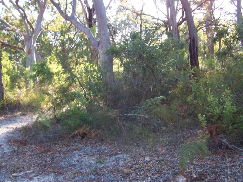 Lot 10 Nardoo Street, Pindimar NSW 2324