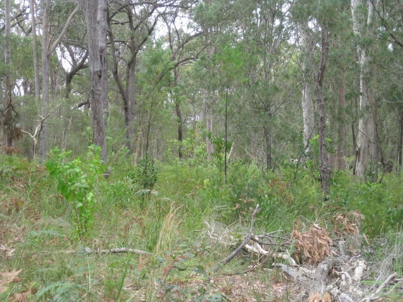 21 Central Avenue, Bundabah NSW 2324