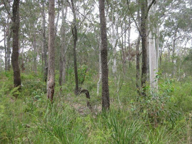 21 Central Avenue, Bundabah NSW 2324