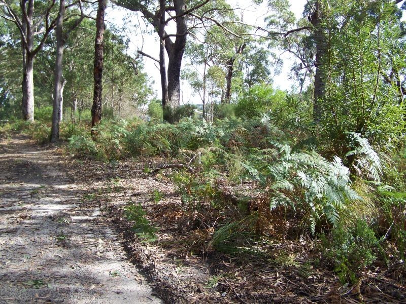 Lot 9 Nardoo Street, Pindimar NSW 2324