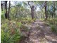 Lot 9 Nardoo Street, Pindimar NSW 2324