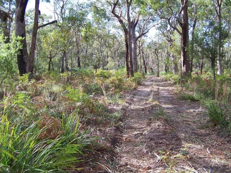 Lot 9 Nardoo Street, Pindimar NSW 2324
