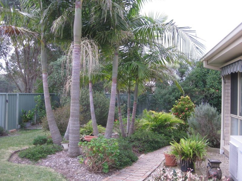 12 Dunshea Avenue, Tea Gardens NSW 2324