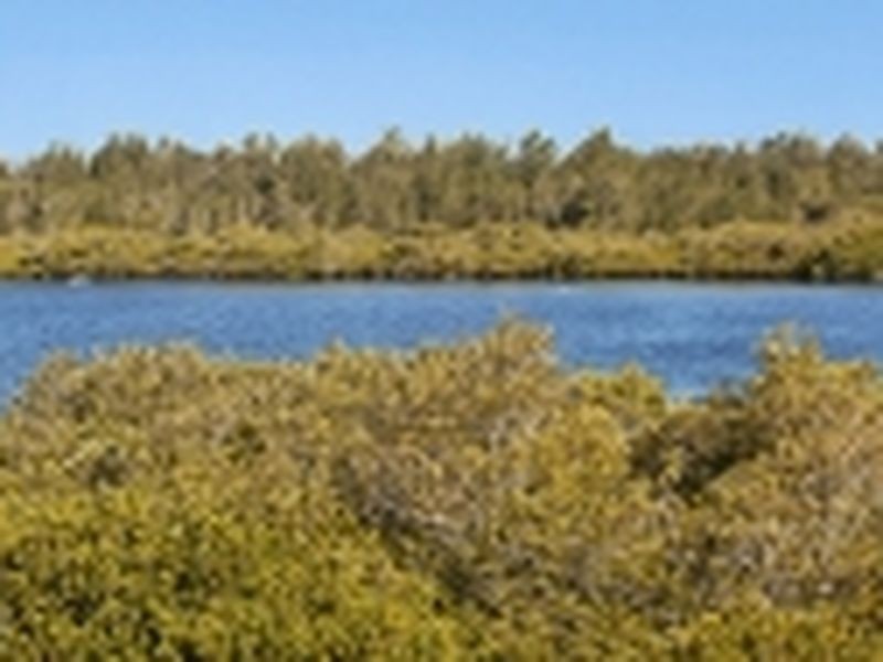 80 Port Stephens Street, Tea Gardens NSW 2324