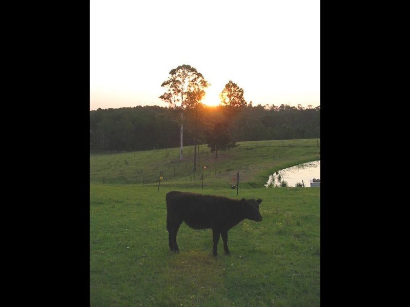 Tea Gardens NSW 2324