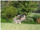 61 Windward Circuit, Tea Gardens NSW 2324