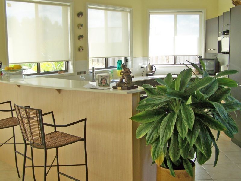 61 Windward Circuit, Tea Gardens NSW 2324