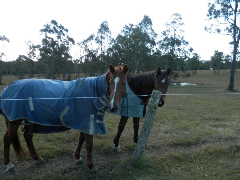 149 Pindimar Road, Tea Gardens NSW 2324