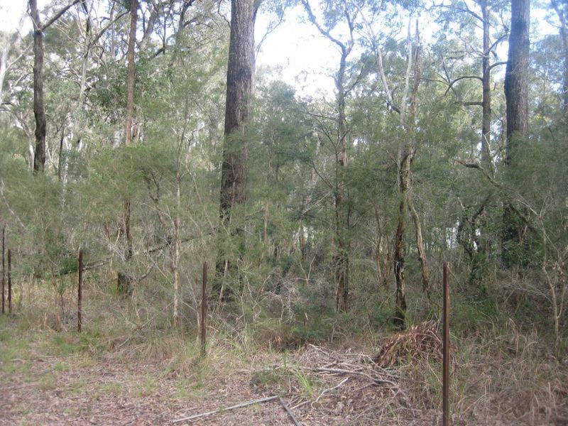 26 Cove Avenue, Bundabah NSW 2324