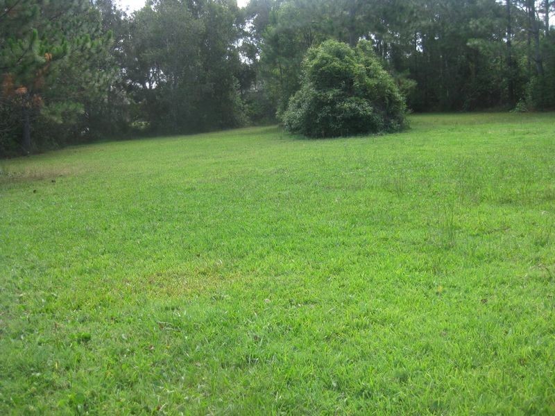 62 ( Lot 1 Witt Street, Tea Gardens NSW 2324