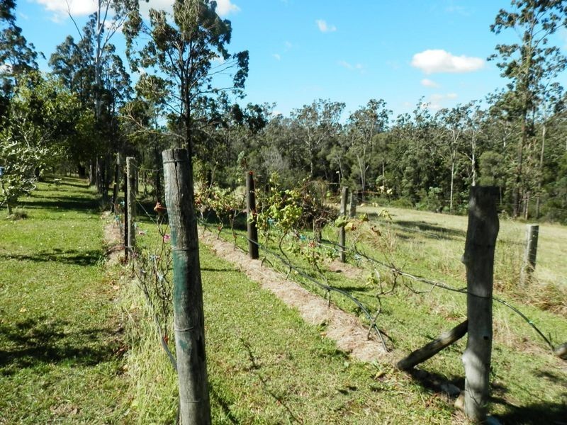 440 Nugra Lane South, The Branch NSW 2425