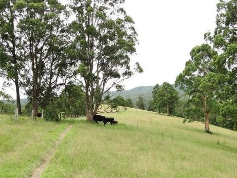 356 & 407 Squires Road, Wootton NSW 2423