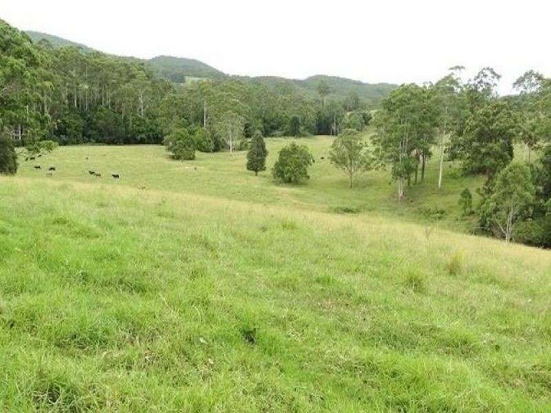 356 & 407 Squires Road, Wootton NSW 2423