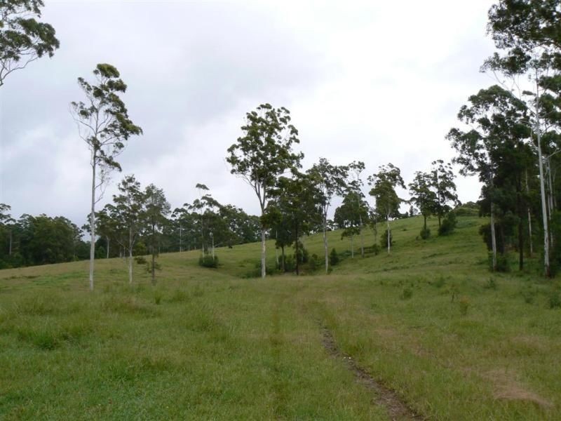 356 & 407 Squires Road, Wootton NSW 2423