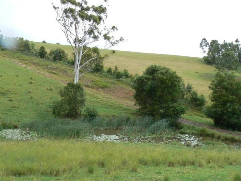 356 & 407 Squires Road, Wootton NSW 2423