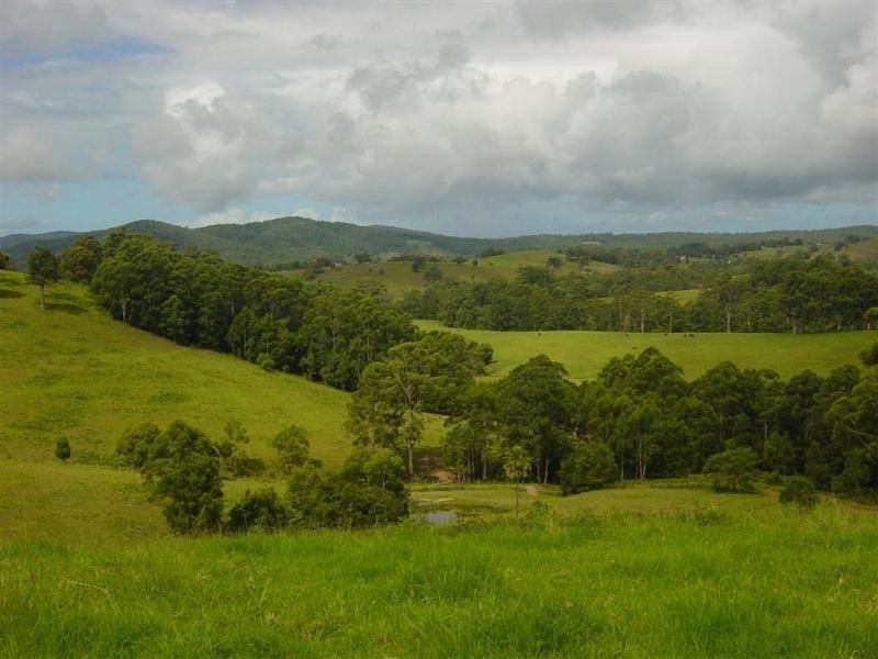 356 & 407 Squires Road, Wootton NSW 2423