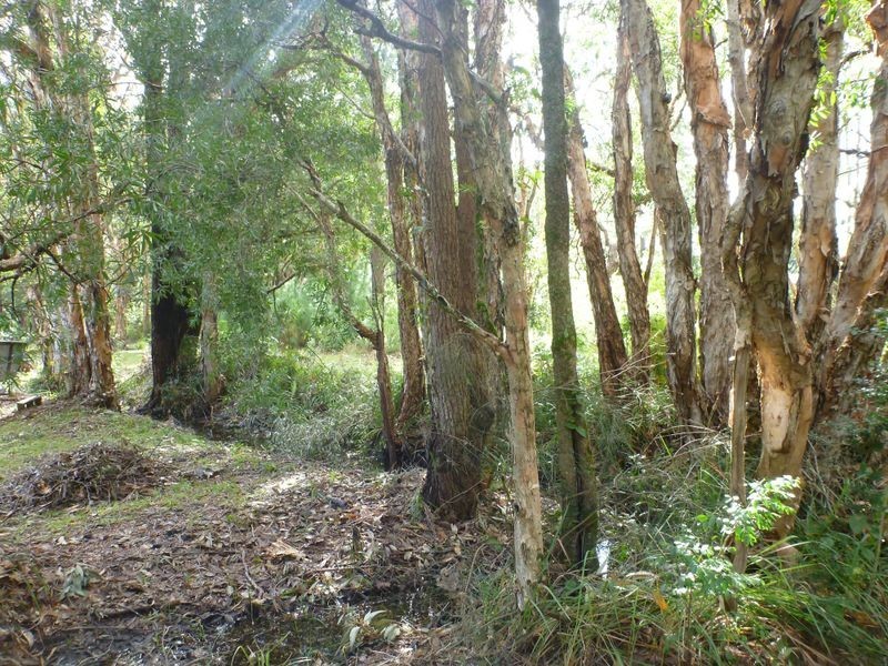 283 Warri Street, Pindimar NSW 2324
