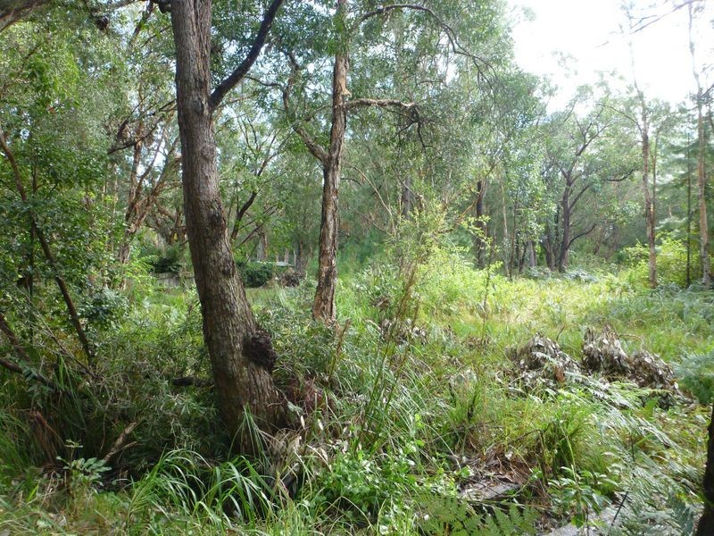 283 Warri Street, Pindimar NSW 2324