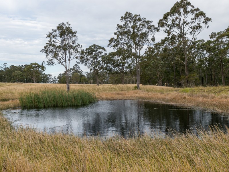 739 Warraba Road, The Branch NSW 2425
