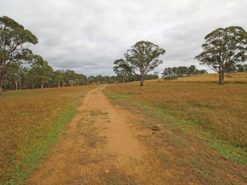 739 Warraba Road, The Branch NSW 2425