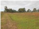 739 Warraba Road, The Branch NSW 2425