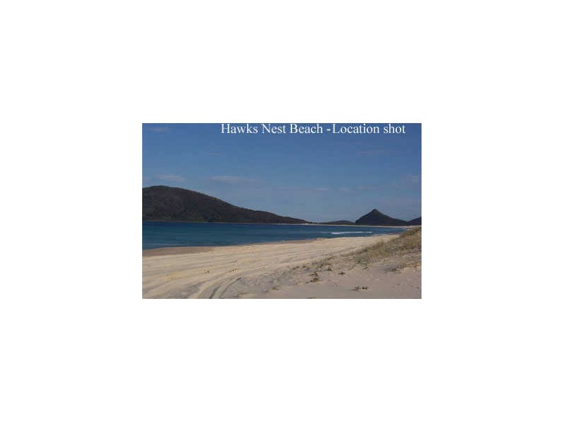33 CURLEW AVENUE, Hawks Nest NSW 2324