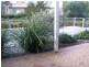 16 Yalinbah Street, Tea Gardens NSW 2324