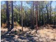 189 Clarke Street, Pindimar NSW 2324