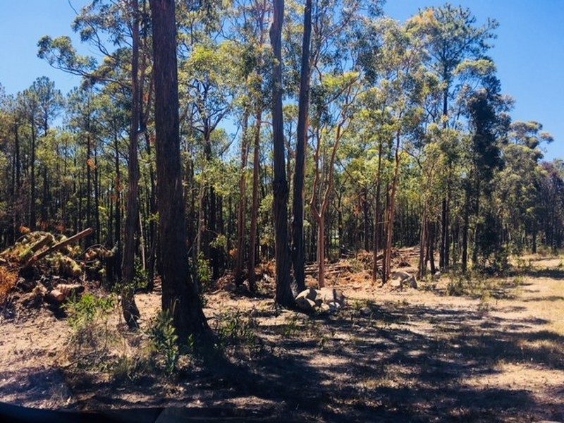 189 Clarke Street, Pindimar NSW 2324