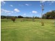 940 Markwell Rd, Markwell NSW 2423
