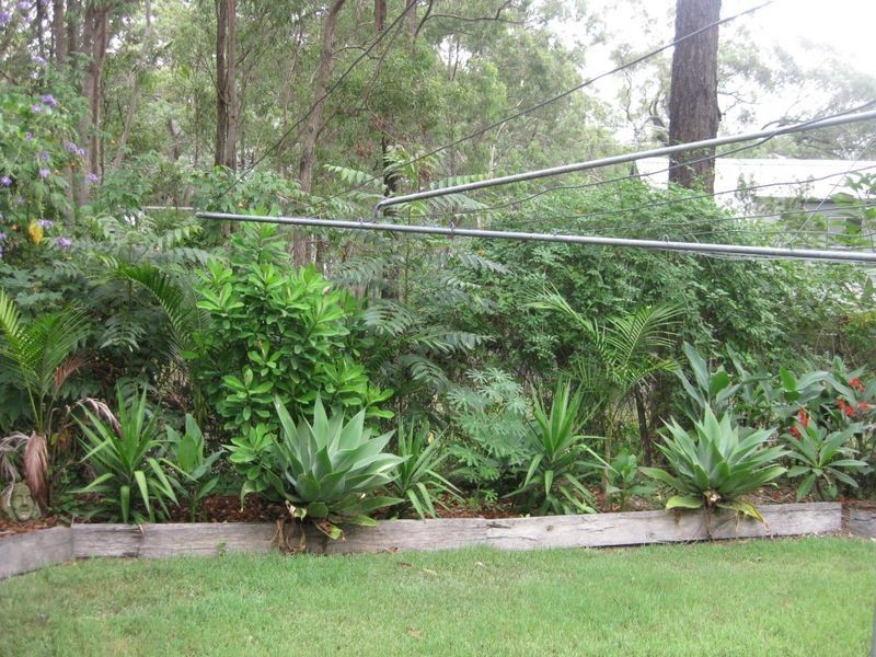 305 Bundabah Road, Bundabah NSW 2324