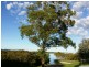 84 Bayview Road, Tea Gardens NSW 2324