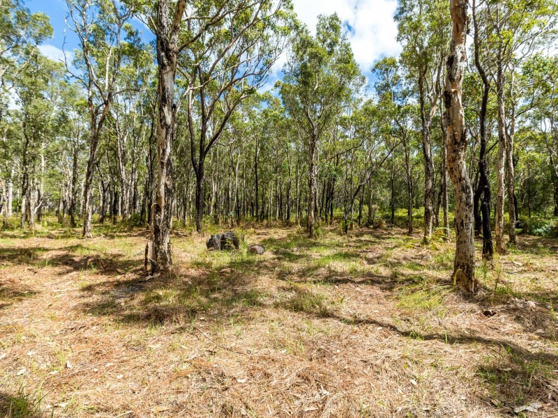 37 Cambage Street, Pindimar NSW 2324