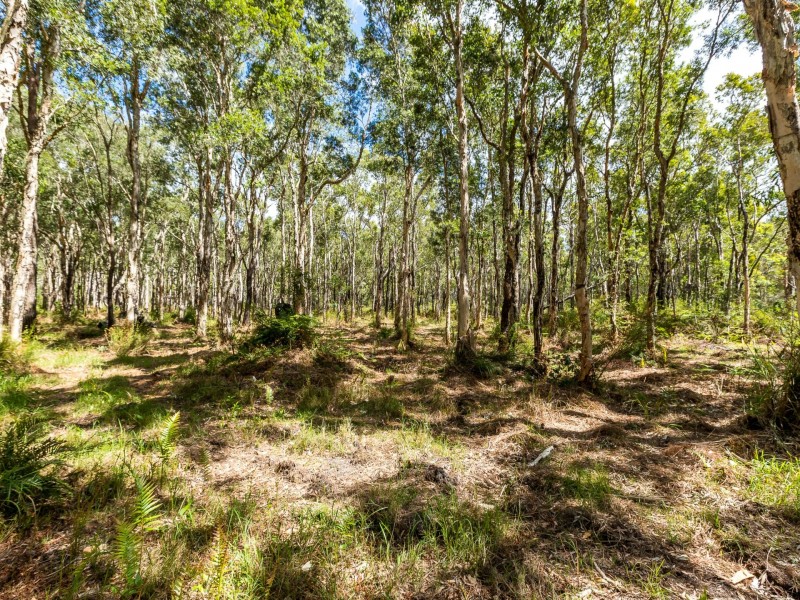 37 Cambage Street, Pindimar NSW 2324