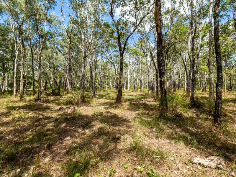 37 Cambage Street, Pindimar NSW 2324