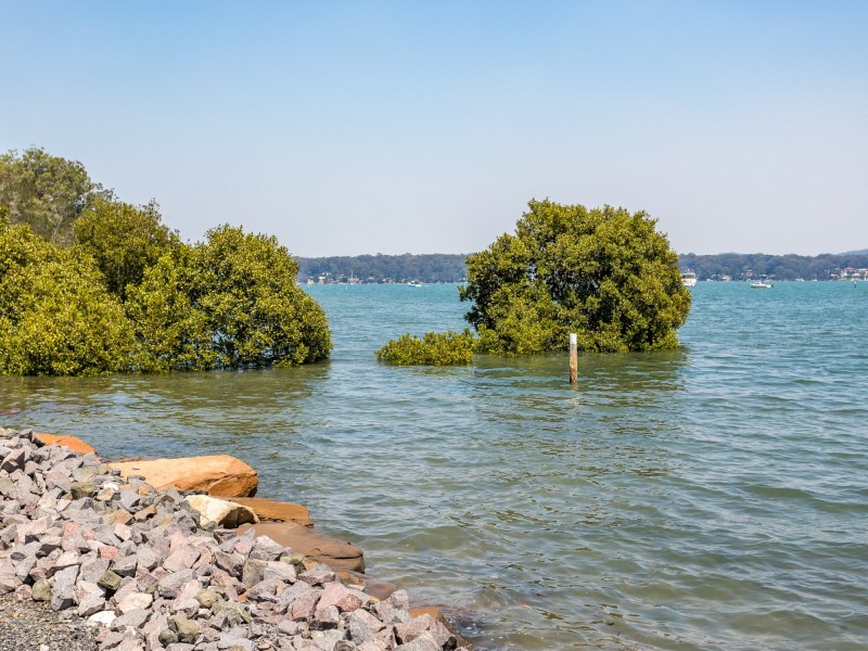 281 Bundabah Road, Bundabah NSW 2324