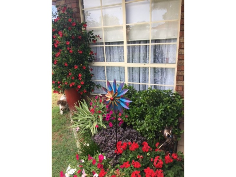 49b Budgeree Street, Tea Gardens NSW 2324