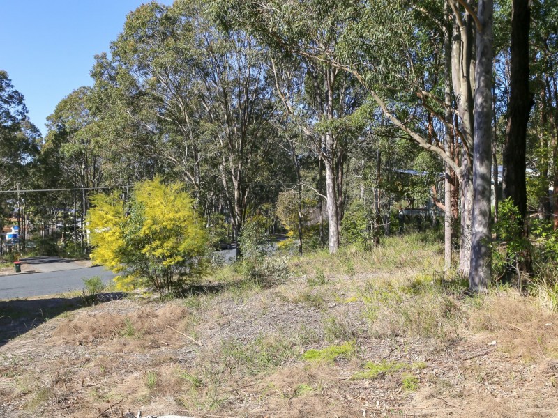 59 Whimbrel Drive, Nerong NSW 2423