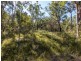 1273 Station Way, North Arm Cove NSW 2324