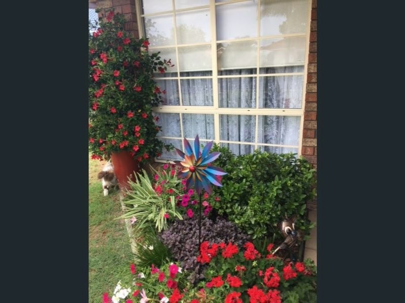49B Budgeree, Tea Gardens NSW 2324