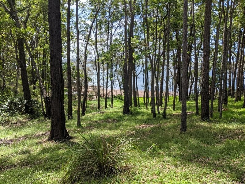 49A Point Circuit, North Arm Cove NSW 2324