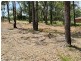 13 Cove Avenue, Bundabah NSW 2324