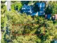 13 Cove Avenue, Bundabah NSW 2324