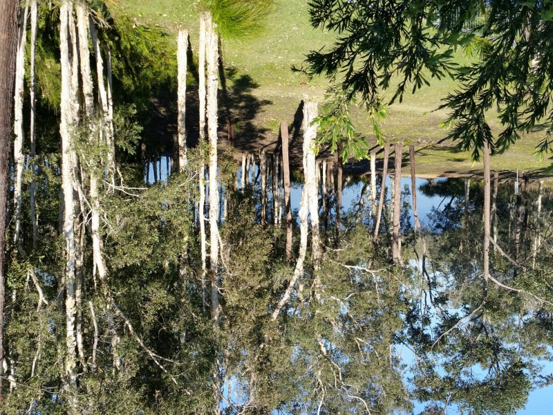 4 Spoonbill Close, Nerong NSW 2423